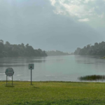 Businesses for Sale Singapore: Find Your Next Venture with Feyday