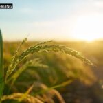 Boka psykolog i Stockholm – hjälp när du behöver det