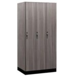 Government Lockers: Secure, Durable Storage for Official Use