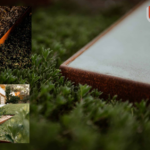 Corten Garden Edging: Durable, Stylish Weathering Steel for Your Landscape