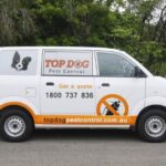 Residential Pest Control Gold Coast – Safe, Effective Home Solutions