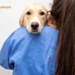 Veterinär hembesök Tomelilla – omtanke i hemmet