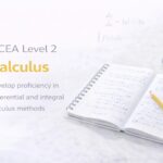 NCEA Maths Exam Techniques: Master Strategies for Better Scores