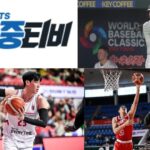 축구의 세계를 한 화면에 담다: 생생한 경기의 순간들