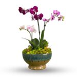 Flower Delivery Service Roswell | Fresh, Fast & Beautiful Arrangements