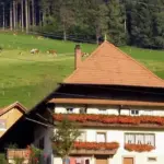 European Motorcycle Tours from the UK: Epic Routes & Guided Adventures