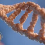 Compassionate Eating Disorder Treatment in Malaysia | 360 Wellness Hub