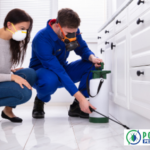 Calgary Cockroach Control: Safe, Effective Pest Solutions