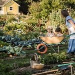Apartment Homesteading: Food Production Inside Small Spaces