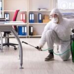Pest Control Services Calgary | Safe, Effective & Local Experts