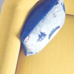 Carpet Cleaners Reno – Expert Carpet Cleaning & Stain Removal