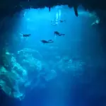 Diving Cenote: An Unforgettable Mexico Underwater Experience