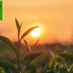 Farm Equipment WNC: Durable, Professional-Grade for Growers