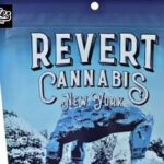 Top Dispensary in Rockaway NY: Premium Cannabis & Expert Guidance