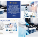 Buy Tau: High-Quality Recombinant Tau for Research